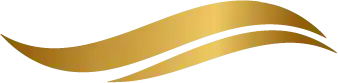 Section Logo